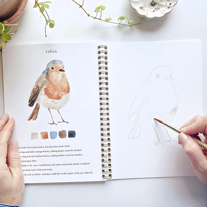 Watercolor Book Set