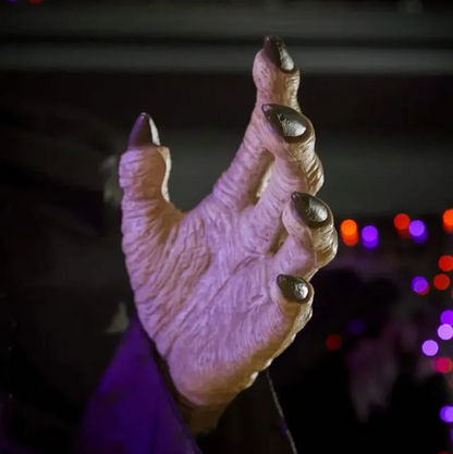 🔥Early Halloween Promotion 49% OFF🔥 - Flying Witch