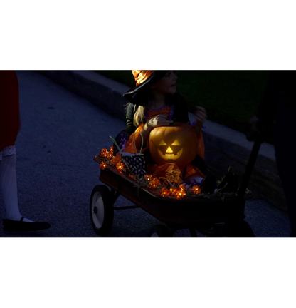 🎃 Jabberin' Jack Talking Pumpkin – Animated LED Face, Jokes, Songs & Spooky Fun for Halloween